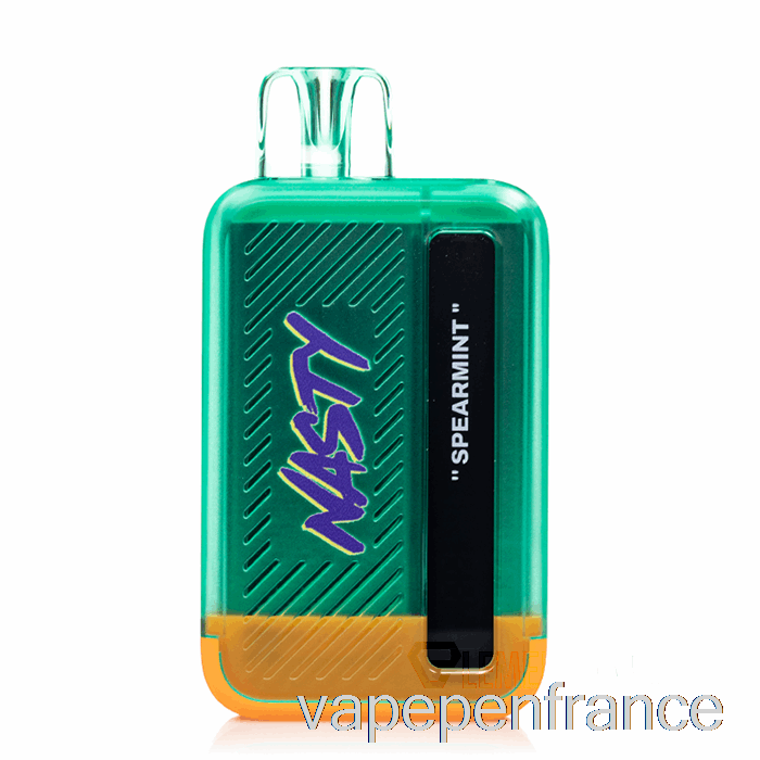 Nasty Bar Dx8.5i 8500 Stylo Vape Jetable à La Menthe Verte